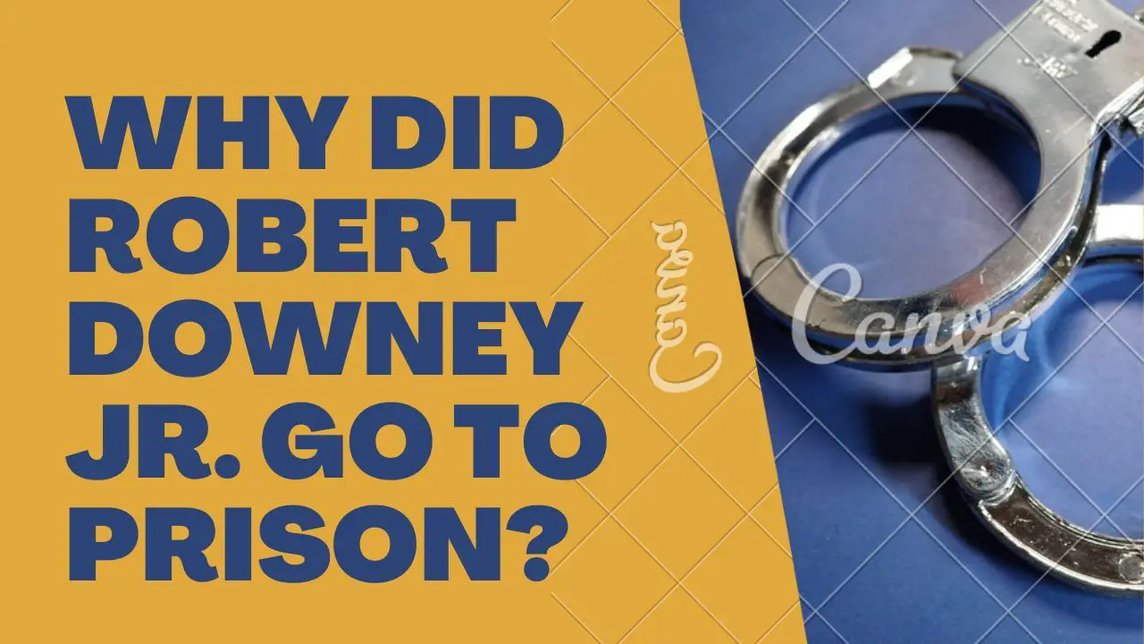 Why Did Robert Downey Jr. Go to Prison?