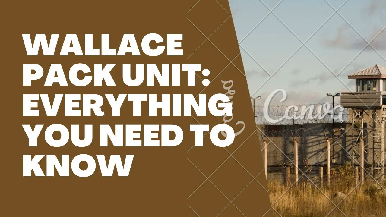 Wallace Pack Unit: Everything You Need To Know About This Unit