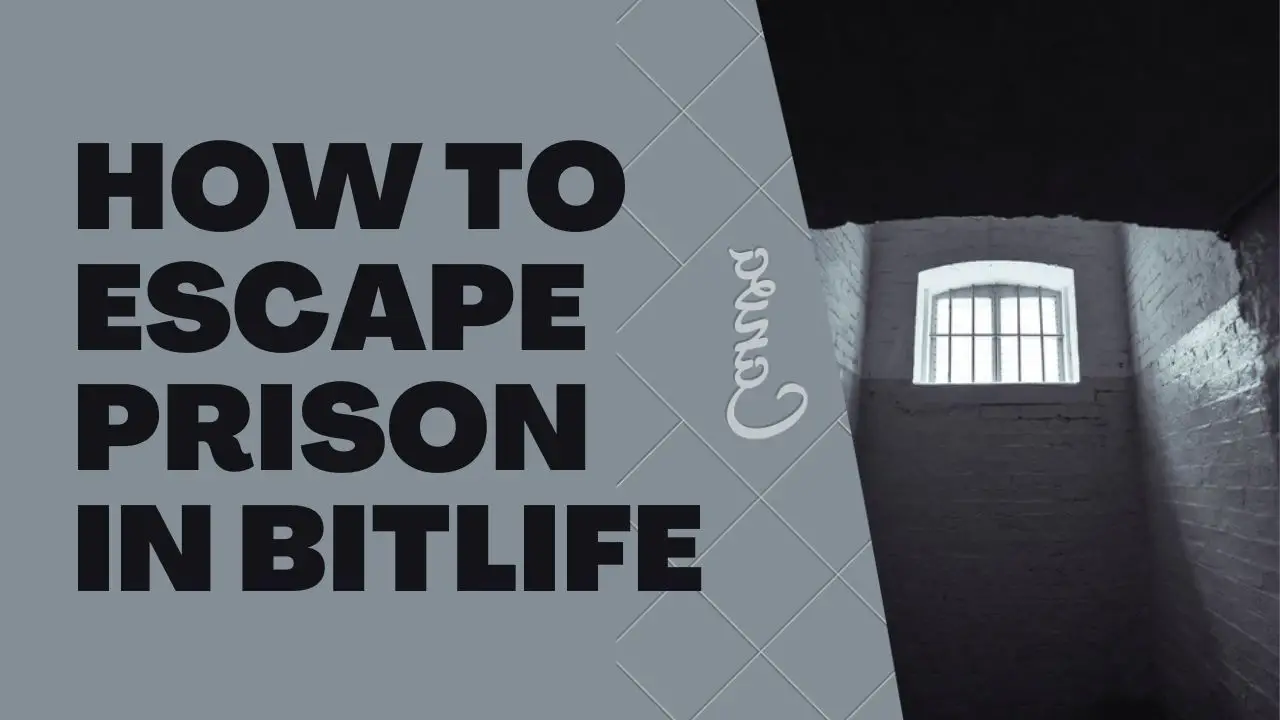 How To Escape Prison In Bitlife