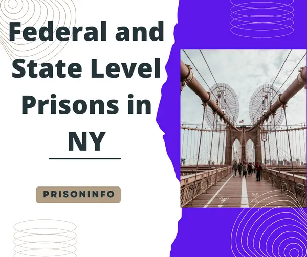 What are some State level and Federal Prisons in New York State