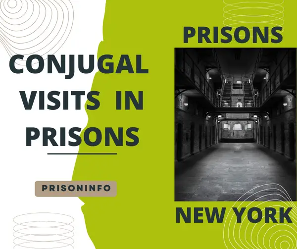 What Prisons in New York Have Conjugal Visits?
