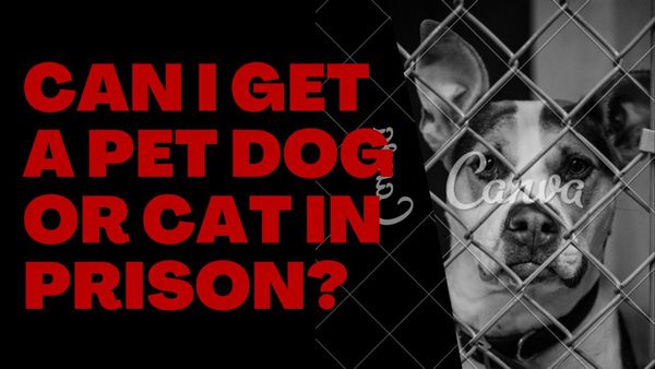 Can I get a Pet Dog or Cat in Prison?